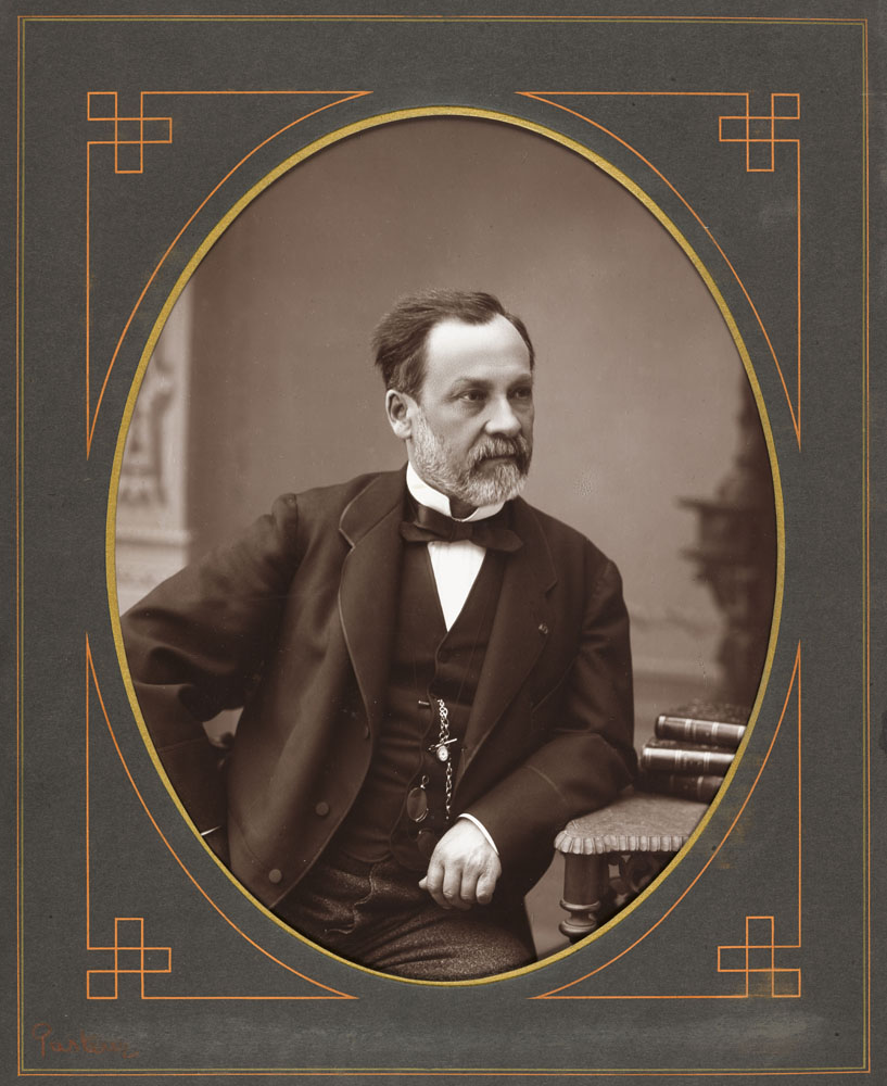 Louis Pasteur, par Eugène Pirou © RMN-Grand Palais (Institut de France) / Mathieu Rabeau